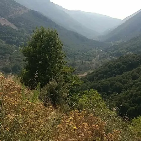 Akis Agioi Theontoroi *