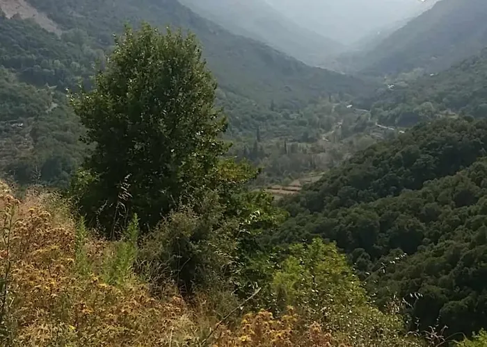 Akis Agioi Theontoroi *